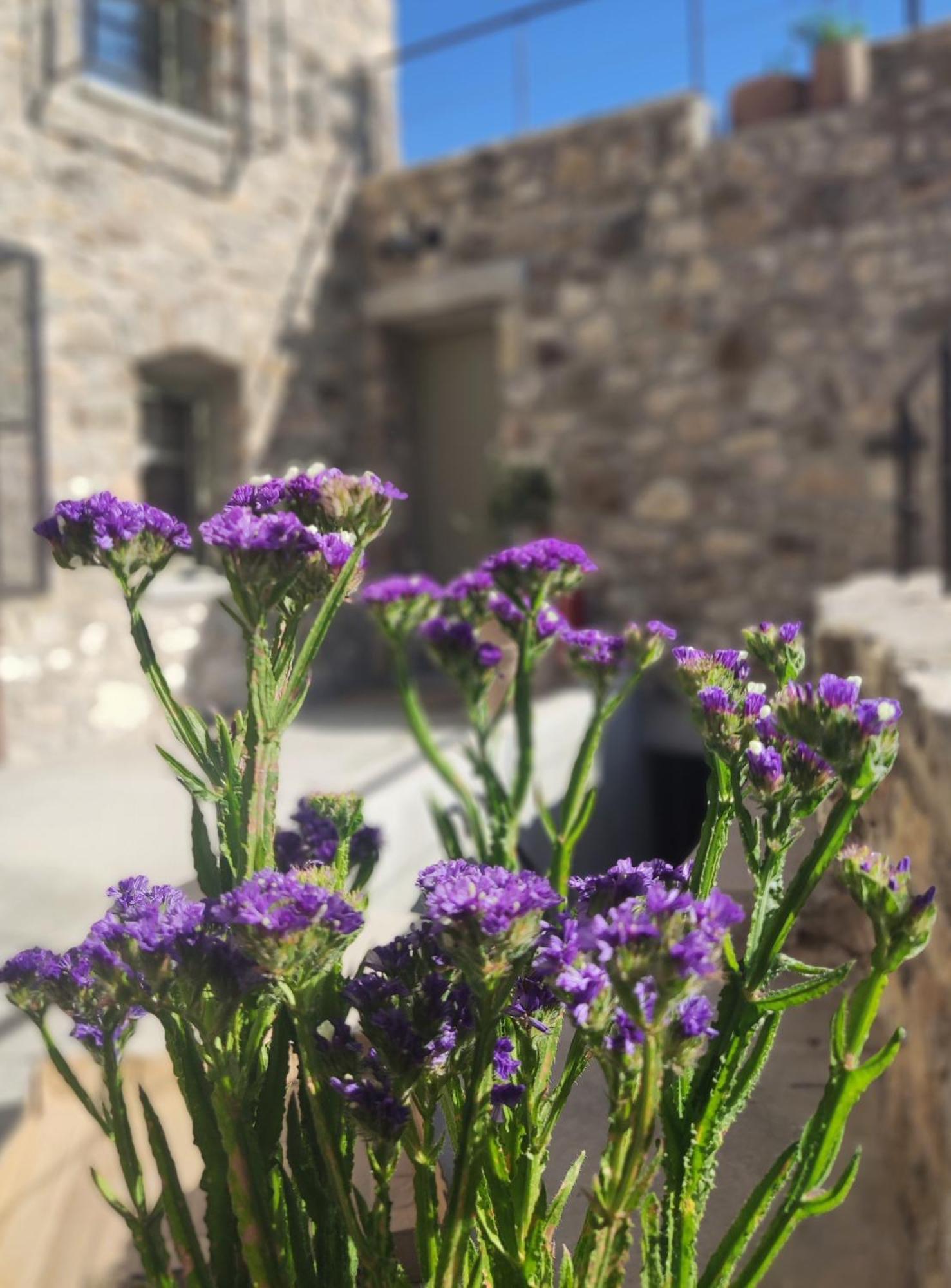 Pyrgi Cretan Living & Spa Pirgos  外观 照片